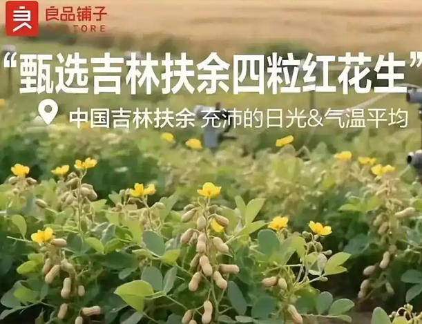 探寻“良品铺子”的海报，为什么AI生成的图片会有“花生上树”这样的错误